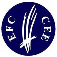 2025 Fencing Cadet And Junior European Championships Logo