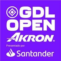 2024 WTA Tour - Guadalajara Open Logo