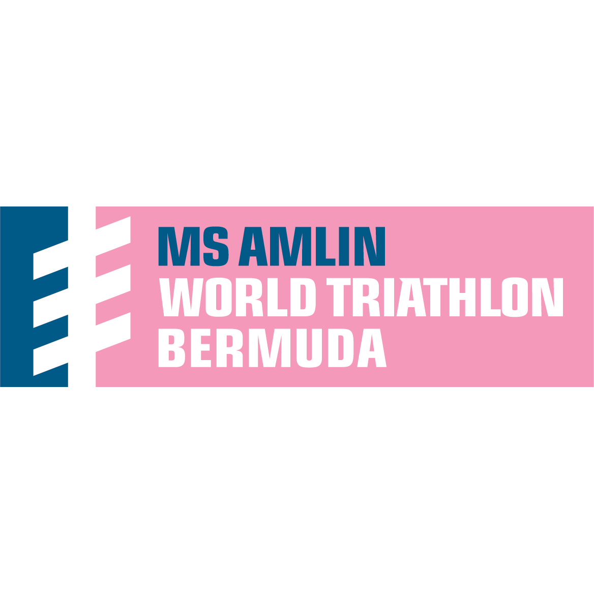 2019 World Triathlon Championship Series